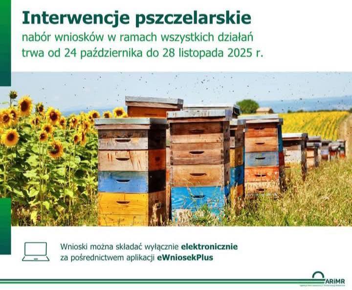 Rusza nabór dla Pszczelarzy!