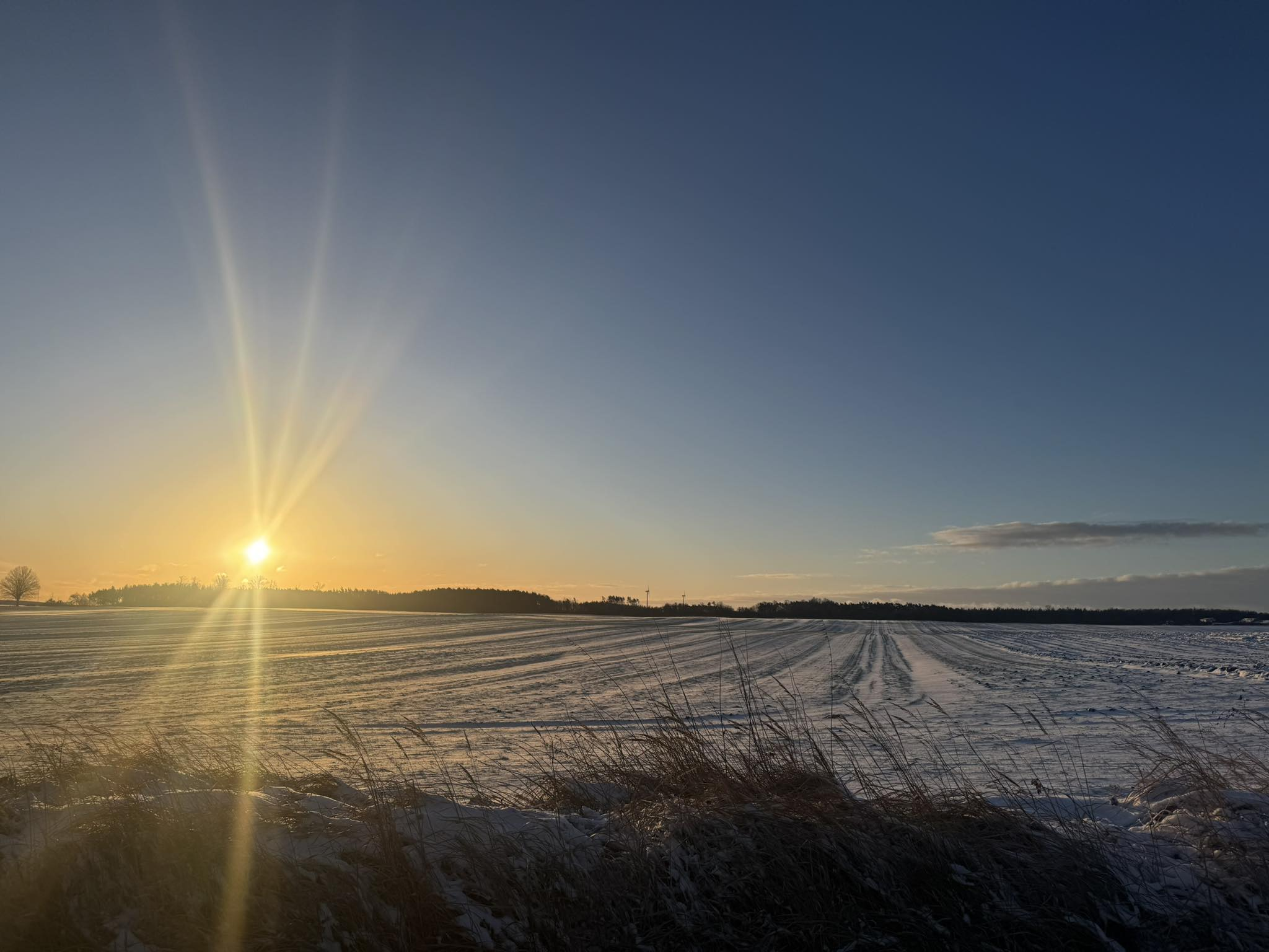 Dzień Dobry w Nowym Roku, Lubasz!